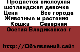Продается вислоухая шотландская девочка › Цена ­ 8 500 - Все города Животные и растения » Кошки   . Северная Осетия,Владикавказ г.